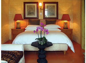 Safari Suite